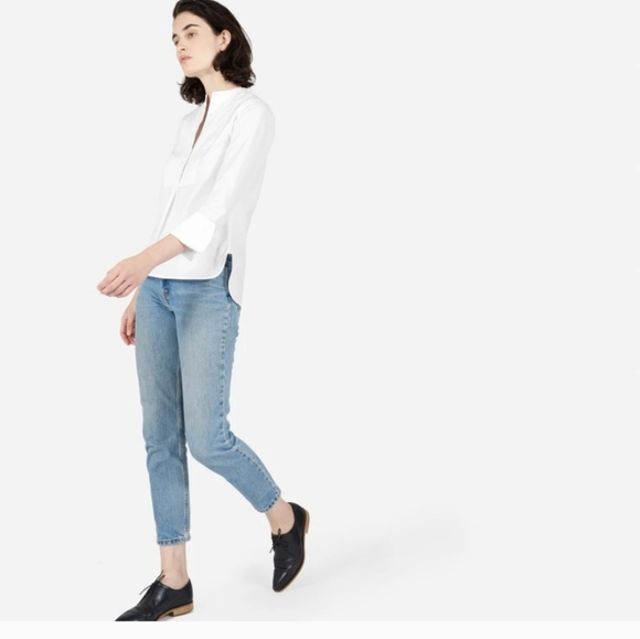 Everlane Japanese Oxford Bib Shirt Size 4 - Picture 2 of 16